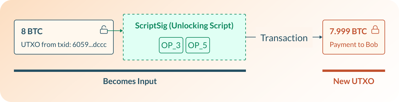 The unlocking Script in a transaction's input